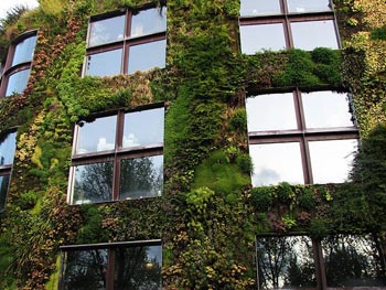 Living Wall at Museé du Quai Branley